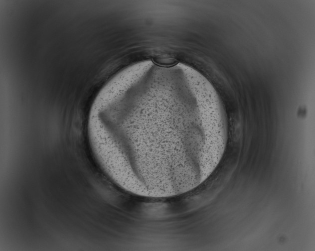 X0000102830266200809081203