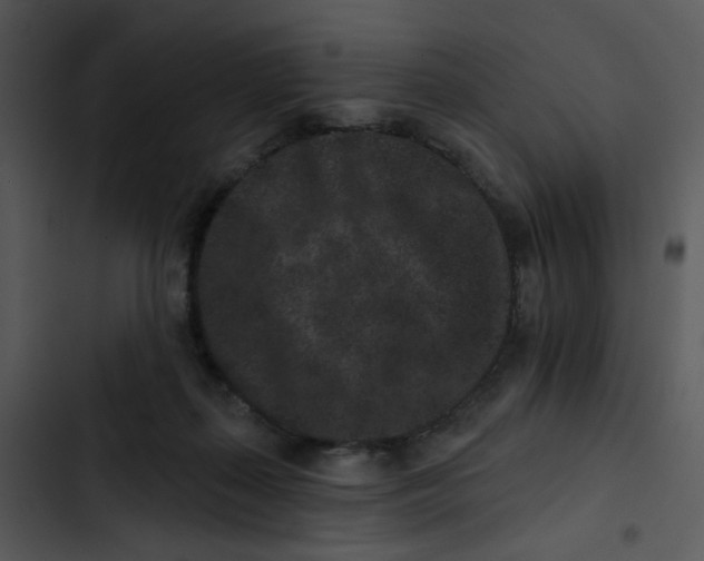 X0000102830267200809081203