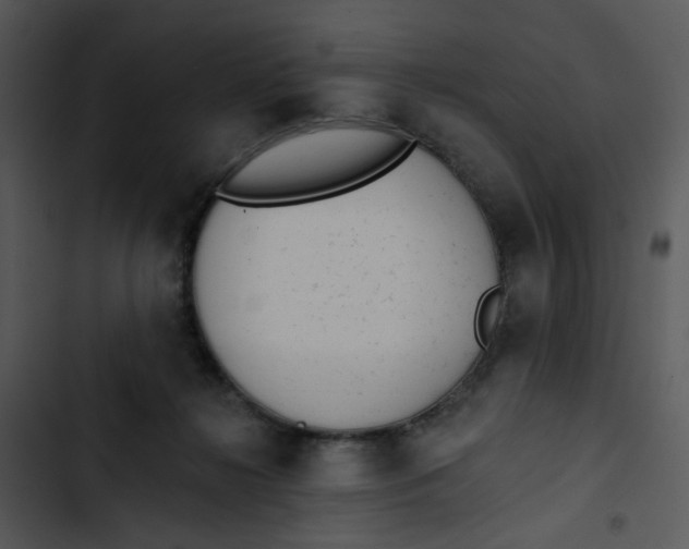 X0000102830268200809081203