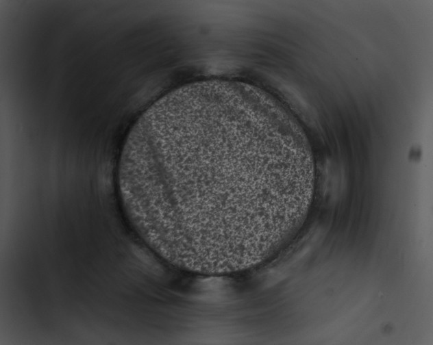 X0000102830269200809081203