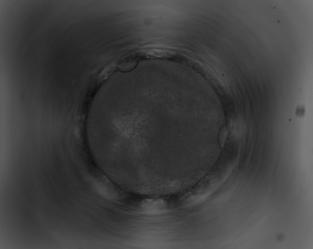 X0000102830271200809081203