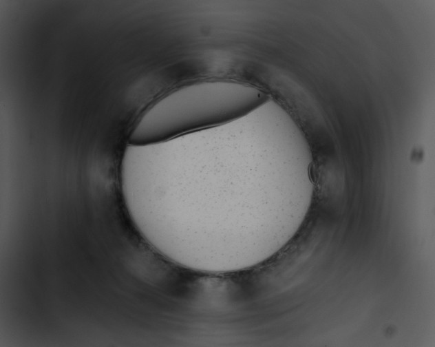 X0000102830272200809081203