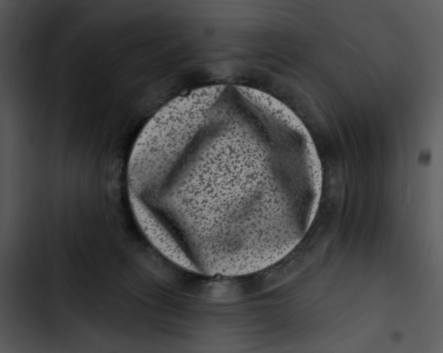 X0000102830275200809081203