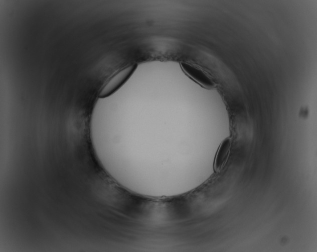 X0000102830276200809081203