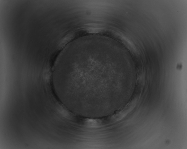 X0000102830277200809081203