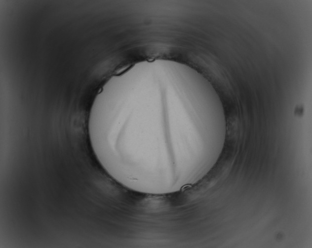 X0000102830280200809081203