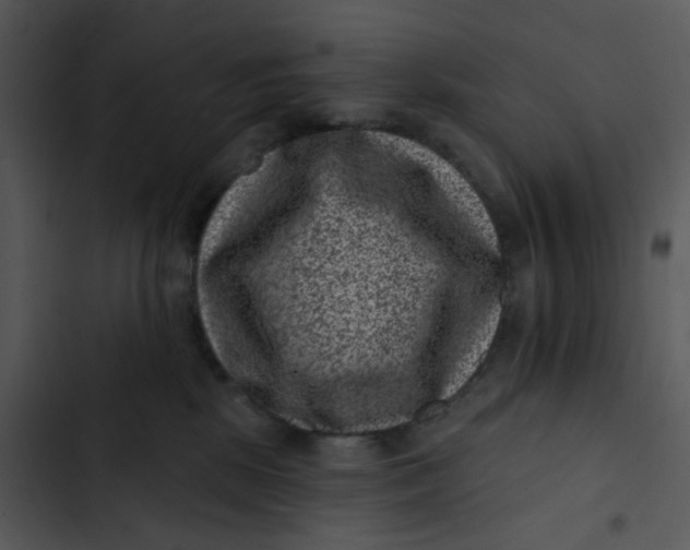 X0000102830281200809081203