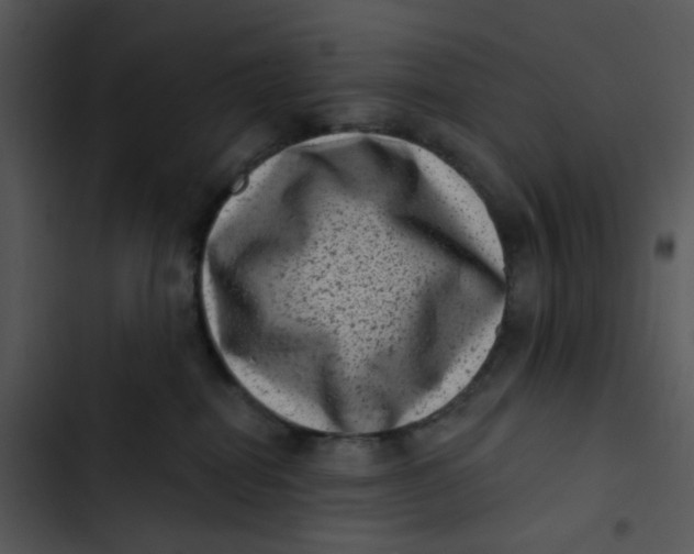 X0000102830282200809081203