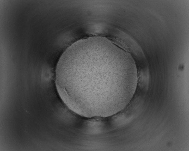 X0000102830284200809081203