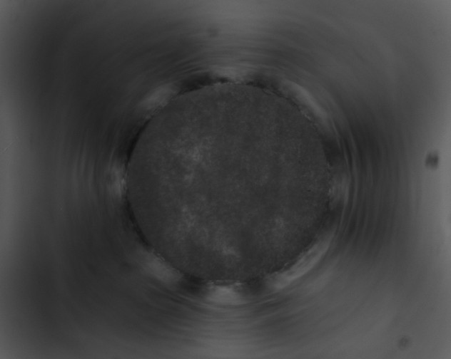 X0000102830285200809081203