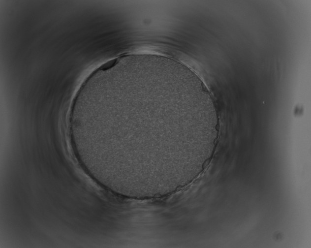 X0000102830289200809081202