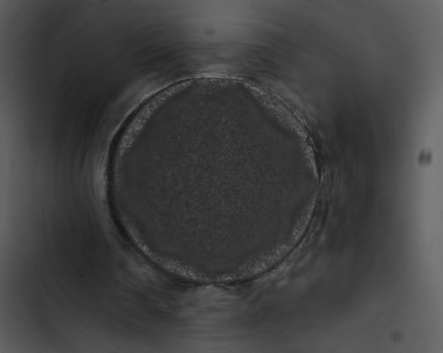X0000102830290200809081202