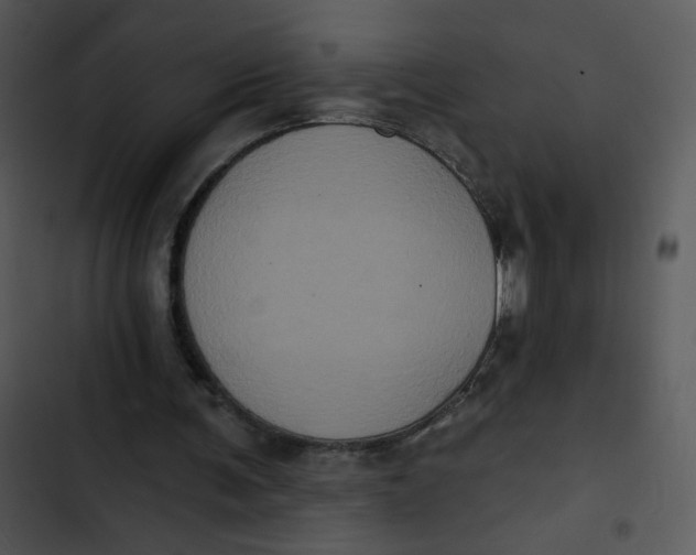 X0000102830291200809081202