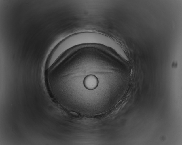 X0000102830292200809081202