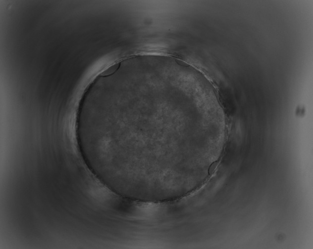 X0000102830293200809081202