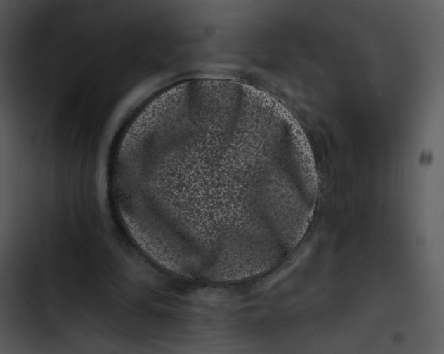 X0000102830294200809081202