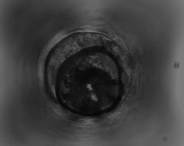 X0000102830295200809081202