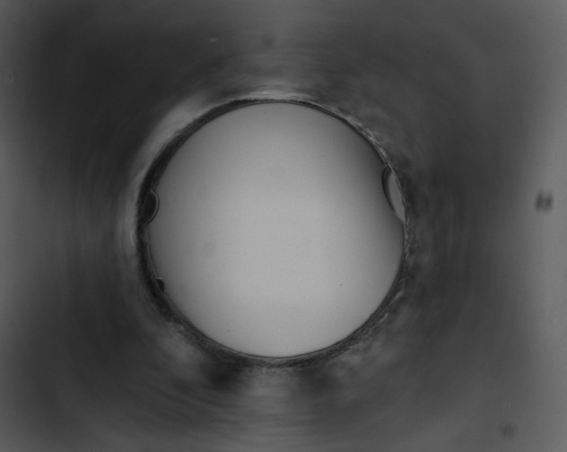 X0000102830296200809081202