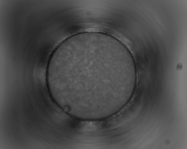X0000102830297200809081202