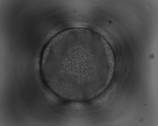 X0000102830299200809081202