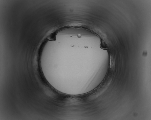 X0000102830300200809081202