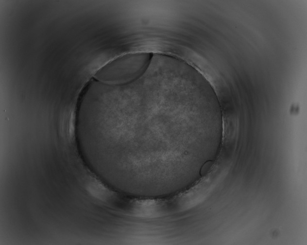 X0000102830301200809081202