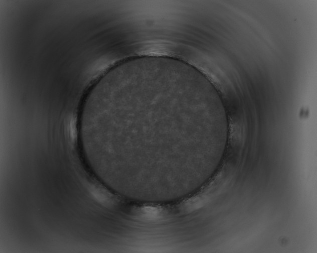 X0000102830302200809081202