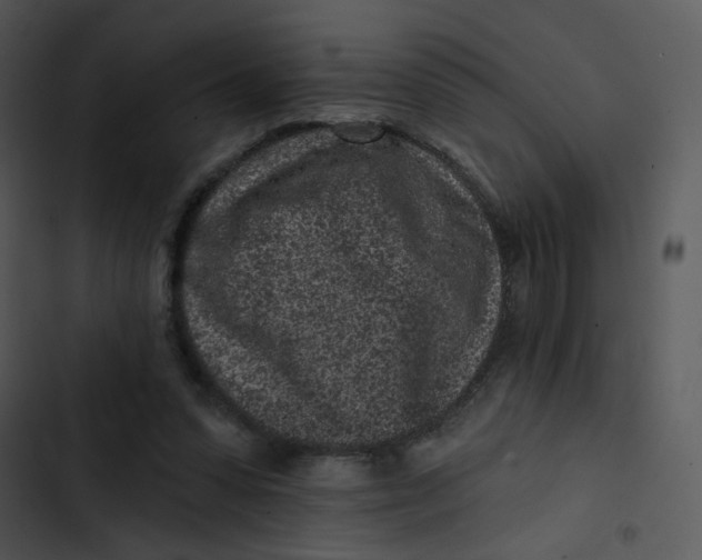 X0000102830303200809081202