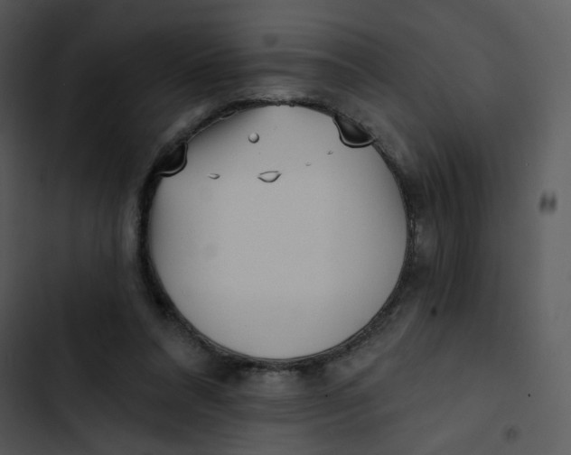 X0000102830304200809081202