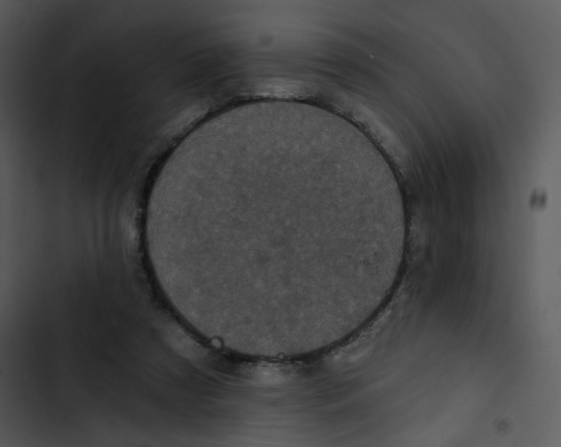X0000102830305200809081202