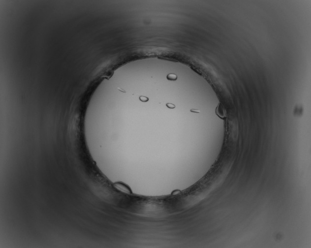 X0000102830308200809081202
