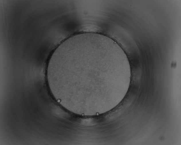 X0000102830309200809081202
