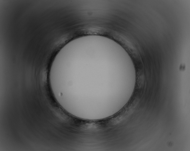 X0000102830310200809081202