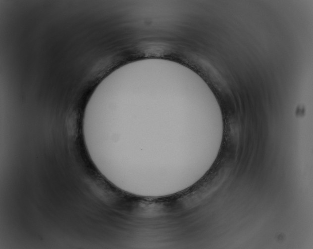 X0000102830311200809081202