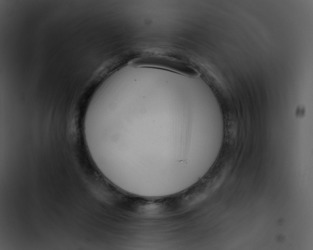X0000102830312200809081202