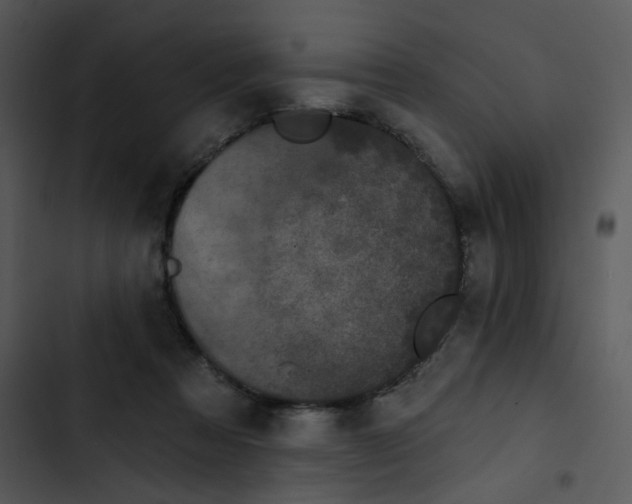X0000102830313200809081202