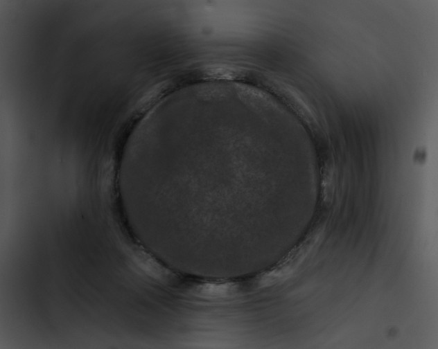 X0000102830314200809081202