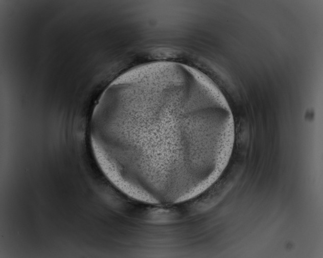 X0000102830315200809081202