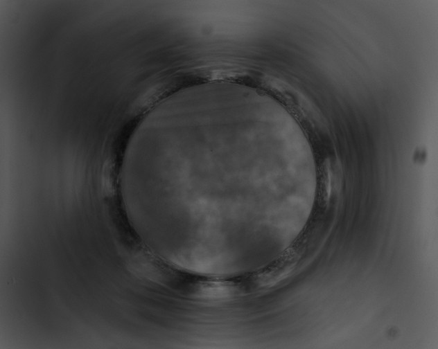 X0000102830316200809081202