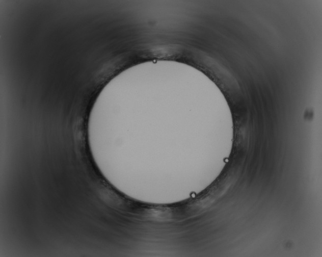 X0000102830317200809081202