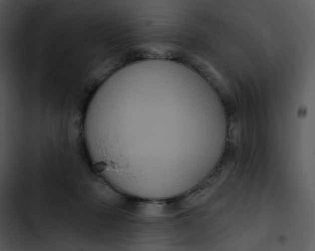 X0000102830318200809081202