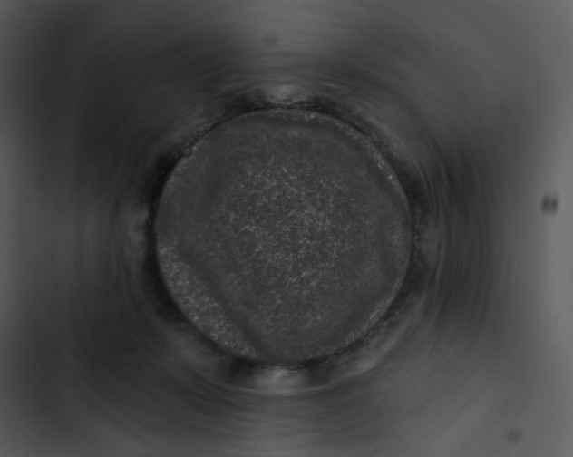 X0000102830319200809081202