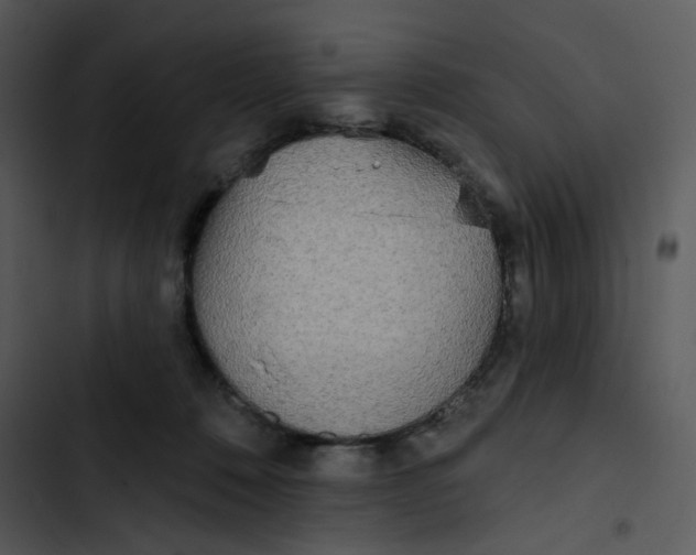 X0000102830320200809081202
