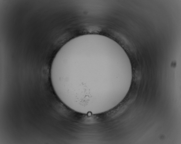 X0000102830321200809081202