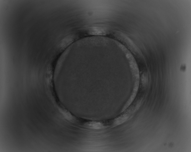 X0000102830322200809081202