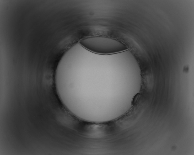 X0000102830323200809081201