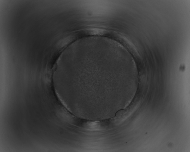 X0000102830325200809081201