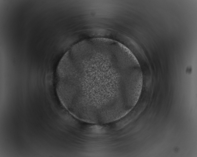 X0000102830326200809081201