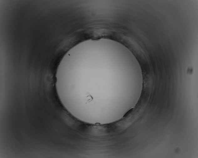 X0000102830327200809081201