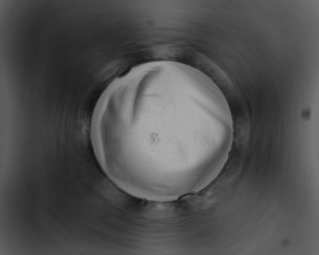 X0000102830329200809081201